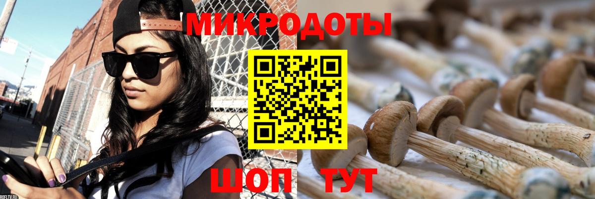 Галлюциногенные грибы мицелий Великий Новгород